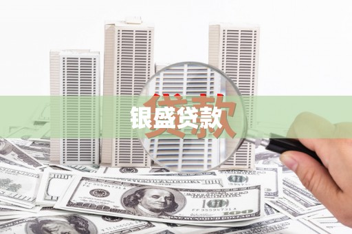 北海新区银盛贷款