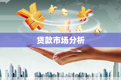 北海新区贷款市场分析
