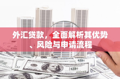 北海新区外汇贷款，全面解析其优势、风险与申请流程