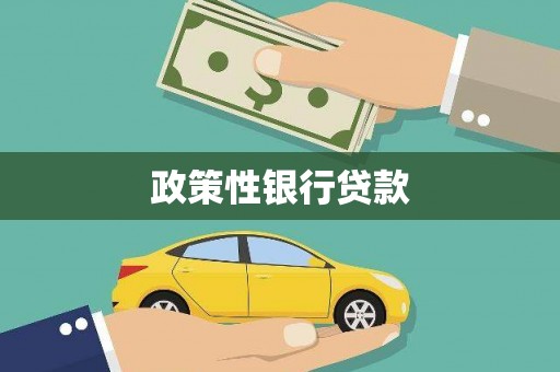 北海新区政策性银行贷款