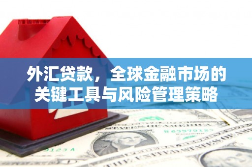 北海新区外汇贷款，全球金融市场的关键工具与风险管理策略