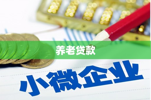 北海新区养老贷款