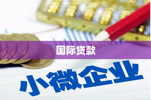 北海新区国际贷款
