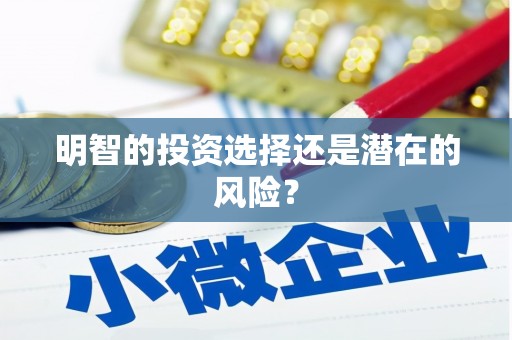北海新区明智的投资选择还是潜在的风险？