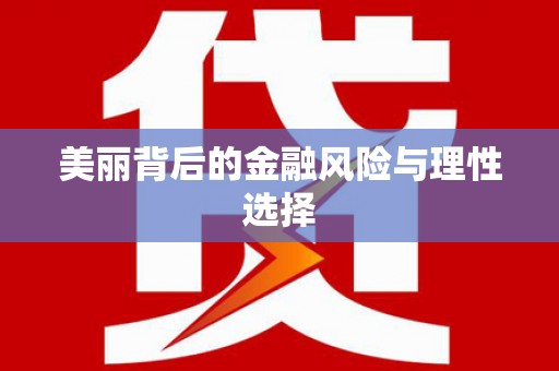 北海新区美丽背后的金融风险与理性选择