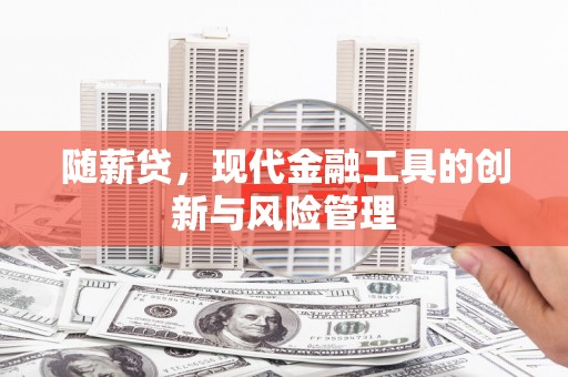 北海新区随薪贷，现代金融工具的创新与风险管理