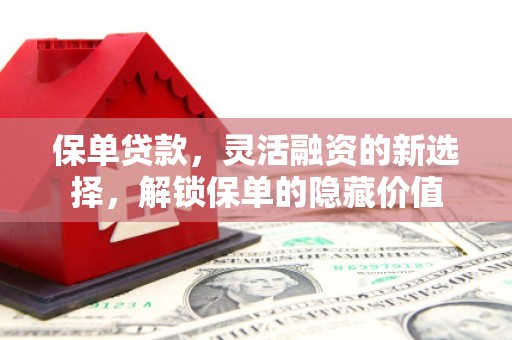 北海新区保单贷款，灵活融资的新选择，解锁保单的隐藏价值