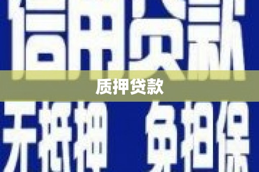 北海新区质押贷款