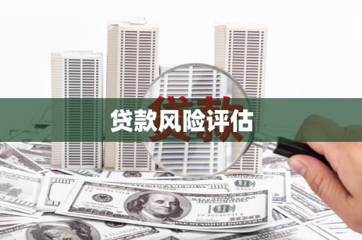 北海新区贷款风险评估