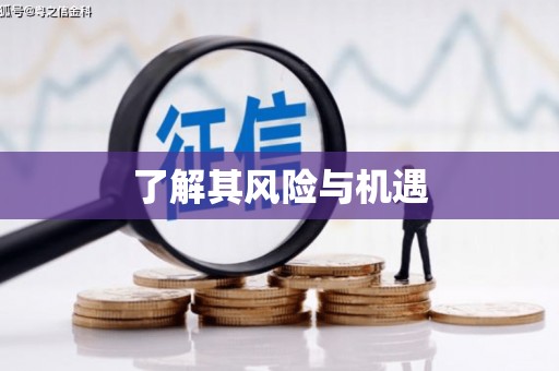 北海新区了解其风险与机遇