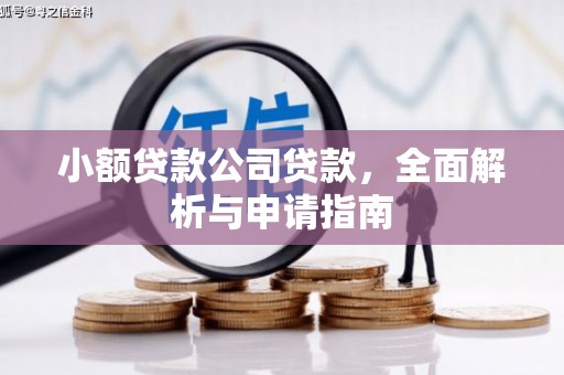 北海新区小额贷款公司贷款，全面解析与申请指南
