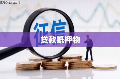 北海新区贷款抵押物