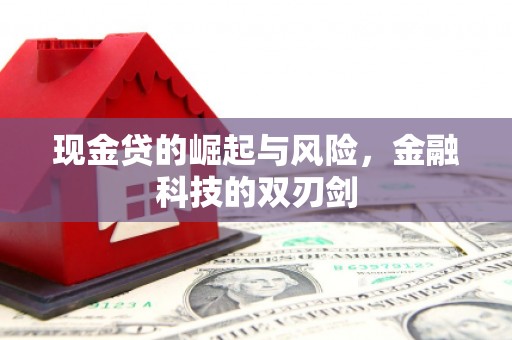 北海新区现金贷的崛起与风险，金融科技的双刃剑