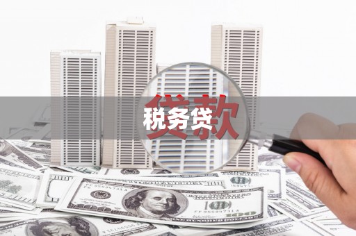 北海新区税务贷