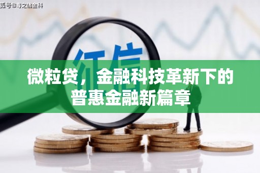北海新区微粒贷，金融科技革新下的普惠金融新篇章