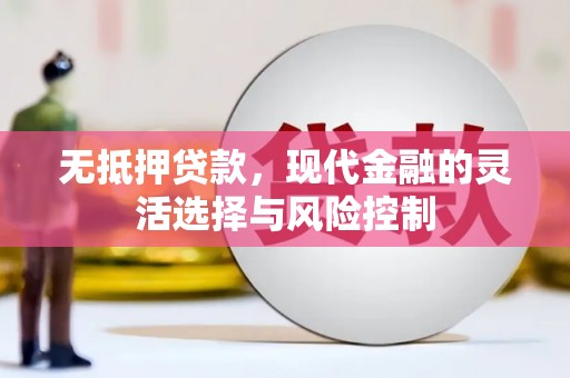 北海新区无抵押贷款，现代金融的灵活选择与风险控制