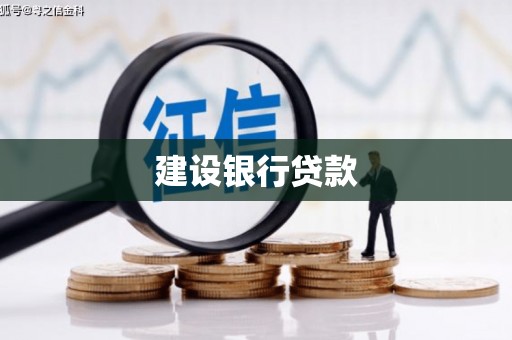 北海新区建设银行贷款