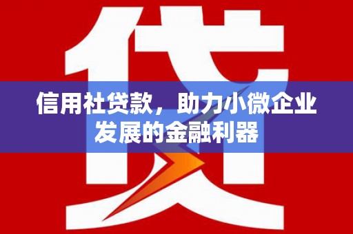 北海新区信用社贷款，助力小微企业发展的金融利器