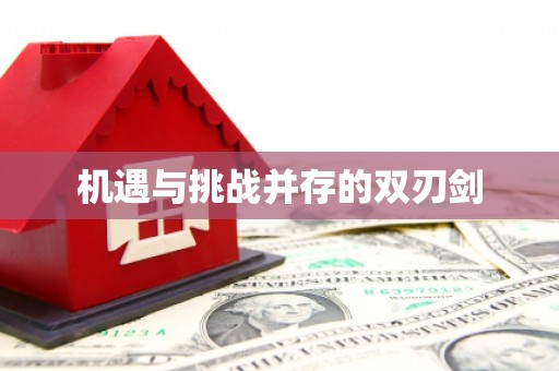 北海新区机遇与挑战并存的双刃剑