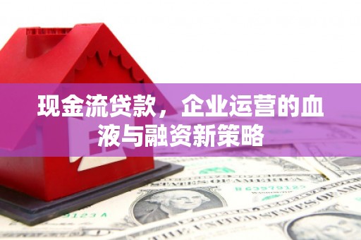 北海新区现金流贷款，企业运营的血液与融资新策略