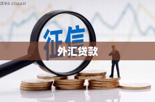 北海新区外汇贷款