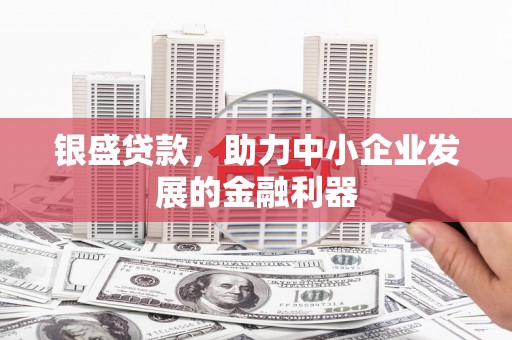 北海新区银盛贷款，助力中小企业发展的金融利器