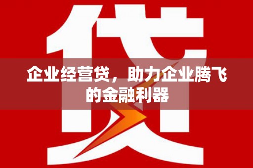 北海新区企业经营贷，助力企业腾飞的金融利器