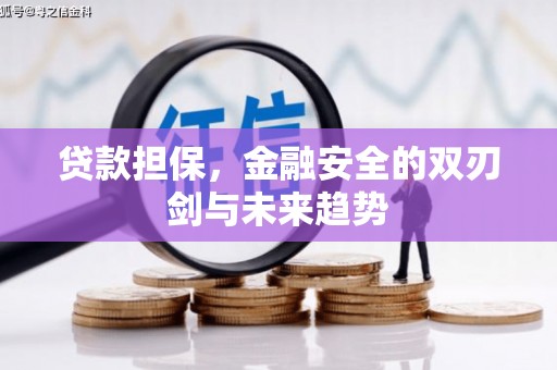 北海新区贷款担保，金融安全的双刃剑与未来趋势