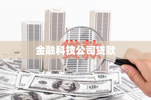 北海新区金融科技公司贷款