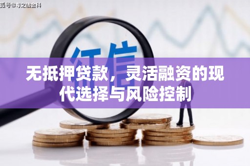 北海新区无抵押贷款，灵活融资的现代选择与风险控制