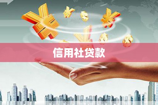 北海新区信用社贷款