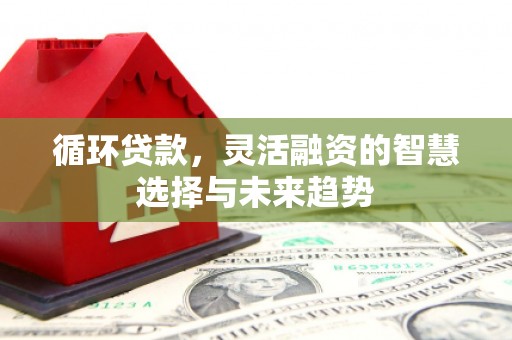 北海新区循环贷款，灵活融资的智慧选择与未来趋势