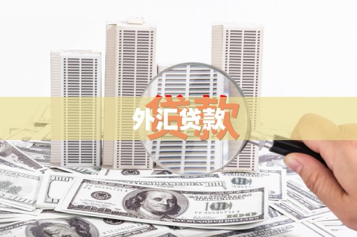 北海新区外汇贷款