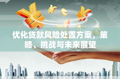 北海新区优化贷款风险处置方案，策略、挑战与未来展望