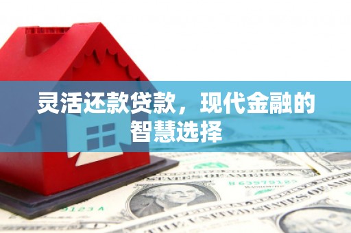 北海新区灵活还款贷款，现代金融的智慧选择