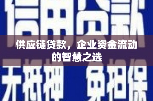 北海新区供应链贷款，企业资金流动的智慧之选
