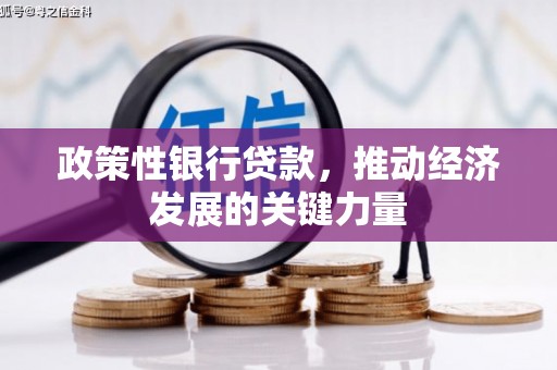 北海新区政策性银行贷款，推动经济发展的关键力量