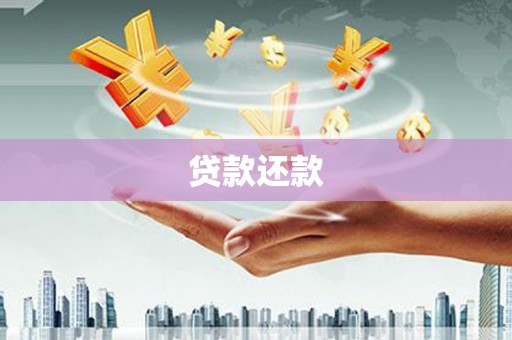 北海新区贷款还款