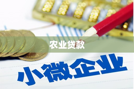 北海新区农业贷款