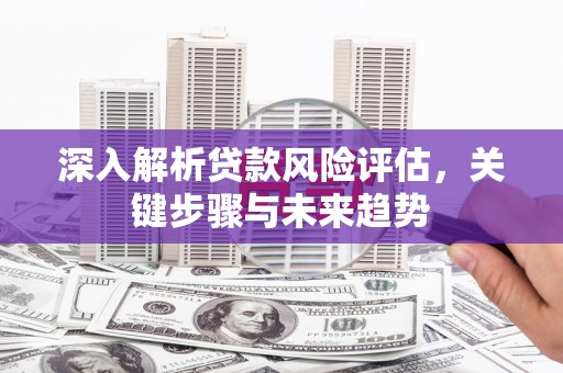 北海新区深入解析贷款风险评估，关键步骤与未来趋势