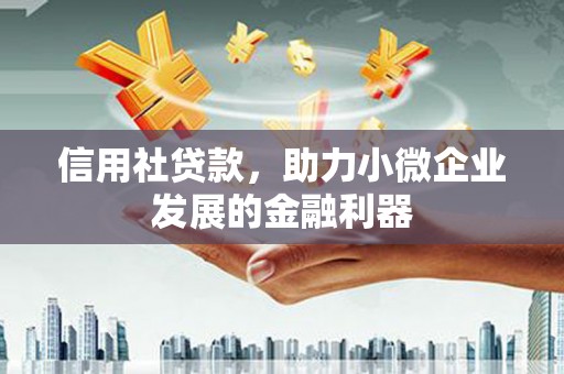 北海新区信用社贷款，助力小微企业发展的金融利器