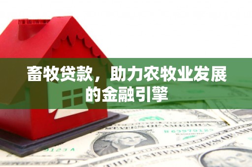 北海新区畜牧贷款，助力农牧业发展的金融引擎