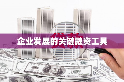 北海新区企业发展的关键融资工具