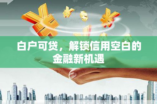 北海新区白户可贷，解锁信用空白的金融新机遇