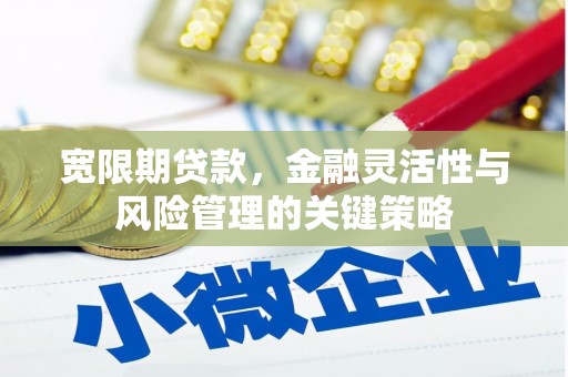 北海新区宽限期贷款，金融灵活性与风险管理的关键策略