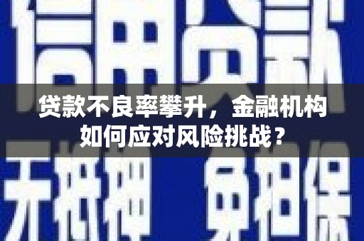 北海新区贷款不良率攀升，金融机构如何应对风险挑战？