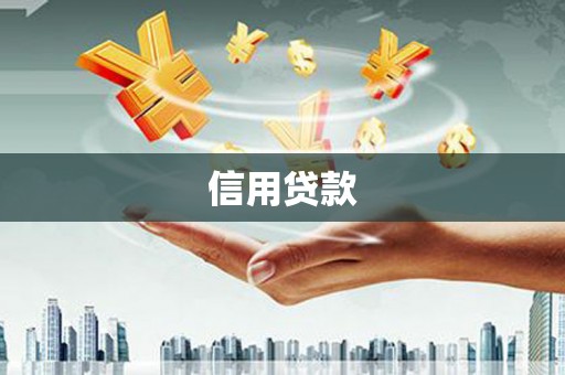 北海新区信用贷款