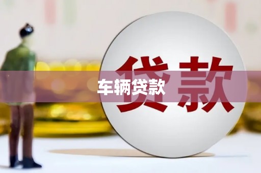 北海新区车辆贷款