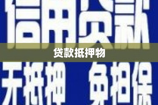 北海新区贷款抵押物