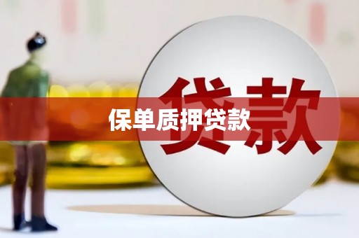 北海新区保单质押贷款